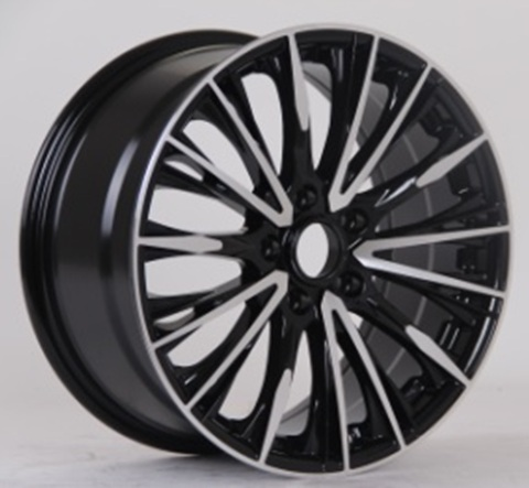 LIZARDO XH304